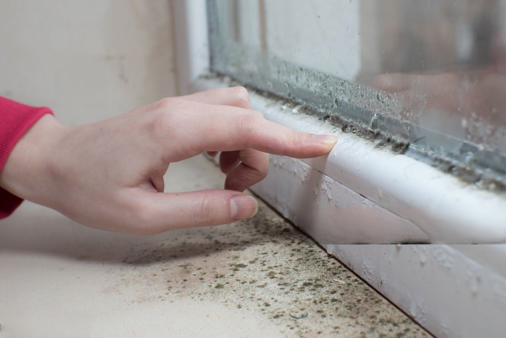 The impact of condensation on windows